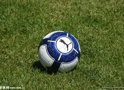 水晶宫客场,惊险逆袭,格伊神助攻,乐鱼体育,LeYu,Sports,乐鱼体育网址,乐鱼体育app,乐鱼体育官网,乐鱼体育集团