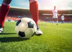 激战正酣,亚冠精英赛,积分榜新动,乐鱼体育,LeYu,Sports,乐鱼体育网址,乐鱼体育app,乐鱼体育官网,乐鱼体育集团