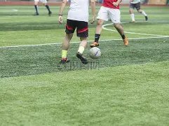 乐鱼体育,资讯,LeYu,乐鱼体育,LeYu,Sports,乐鱼体育网址,乐鱼体育app,乐鱼体育官网,乐鱼体育集团