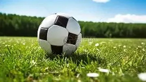 乐鱼体育 资讯 173756 vcb