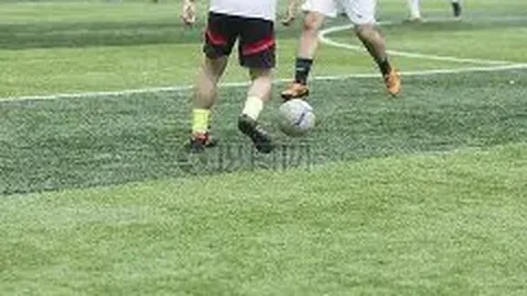 乐鱼体育 资讯 083139 0gf