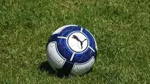 乐鱼体育 资讯 083154 nx4